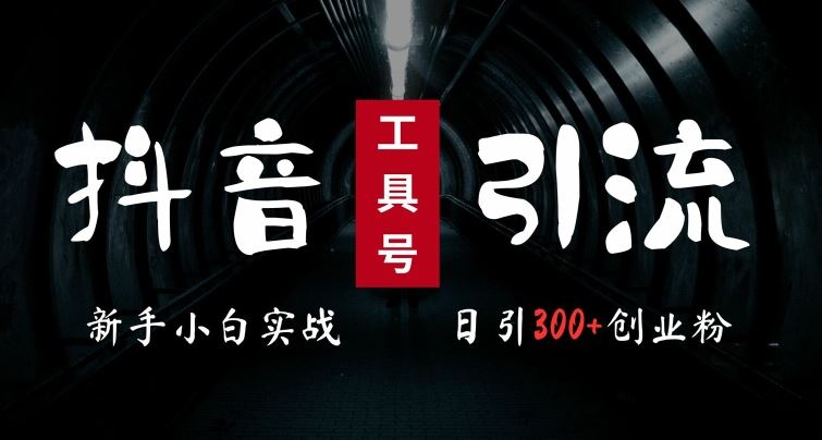 2024最新抖音工具号引流玩法，高效日引300+创业粉，当天变现5k，小白也可成为实战高手-西瓜1886社区