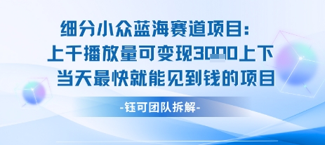 小众蓝海赛道项目：当天变现1k+适合新手操作 +适合长期玩-西瓜1886社区