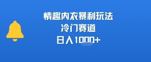 情趣内衣暴利玩法，冷门赛道，日入1k+-西瓜1886社区