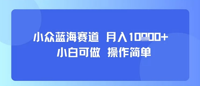 小众蓝海赛道，小白可做，操作简单，每天30分钟，月入1W+-西瓜1886社区
