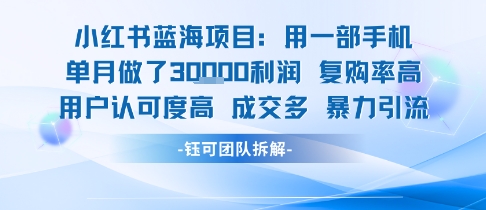 小红书蓝海项目，一部手机单月做了3W利润，小白也能月入过1W用户认可度高成交多-西瓜1886社区