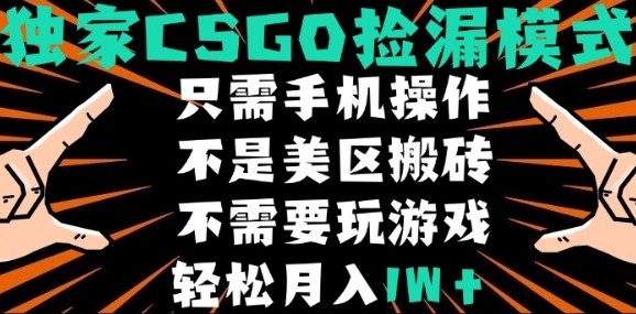 CSGO自动捡漏项目，最新独家玩法，不是美区搬砖，不需要了解和玩游戏，新手小白轻松月入1W+【揭秘】-西瓜1886社区