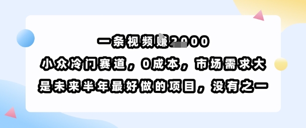 一条视频挣1k，小众冷门赛道，0成本，市场需求大，是未来半年最好做的项目，没有之一-西瓜1886社区