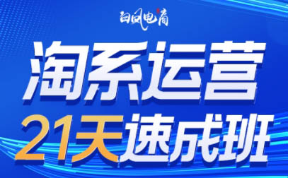白凤电商·淘系运营21天速成班(更新7月)-西瓜1886社区