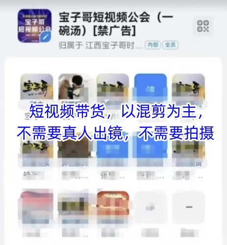 宝子哥头部团队短视频带货，以混剪为主，不需要真人出镜，不需要拍摄【更新8月】-西瓜1886社区