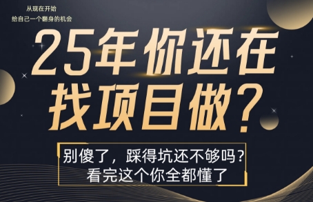 25年，你还在疯狂的找项目吗？别傻了，看完这个你都懂了【揭秘】-西瓜1886社区