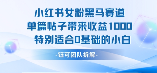 小红书女粉黑马赛道单篇帖子带来收益1k+，特别适合0基础的小白-西瓜1886社区
