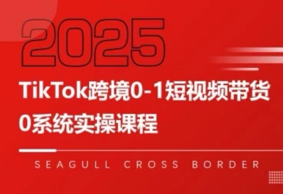 大亿老师·TikTok跨境0-1短视频带货-西瓜1886社区