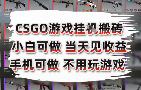 CSGO游戏挂G搬砖，小白纯手机即可操作，不用电脑打游戏，日入3张+，副业网创项目【揭秘】-西瓜1886社区