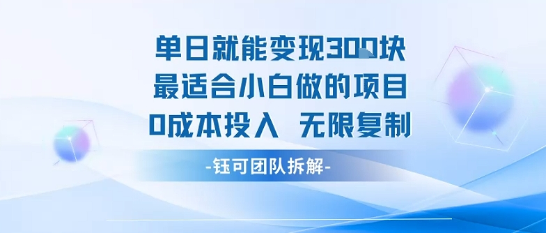单日就能变现3张最适合小白做的项目0成本投入 无限复制-西瓜1886社区