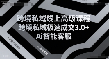 跨境私域线上高级课程，跨境私域极速成交3.0+Ai智能客服-西瓜1886社区