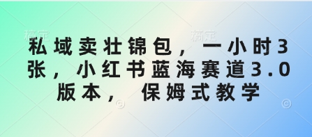 私域卖壮锦包，一小时3张，小红书蓝海赛道3.0版本， 保姆式教学-西瓜1886社区