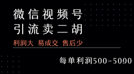 视频号卖二胡教程，利润大 易成交 售后少，一单利润5张+-西瓜1886社区