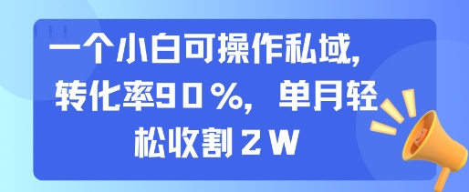 一个小白可操作私域，转化率90%，单月轻松收割2W-西瓜1886社区