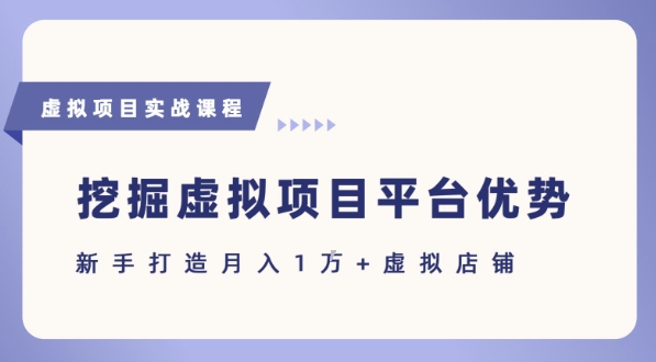 抓住虚拟项目各平台优势，新手轻松月入1W+(给出具体建议)-西瓜1886社区