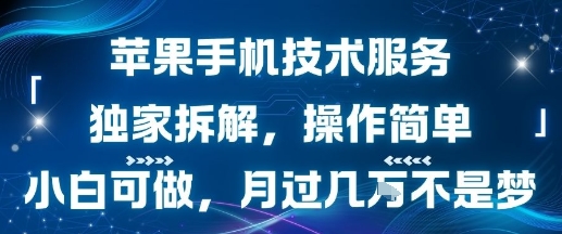 苹果手机技术服务，独家拆解，操作简单，小白可做，月过1W不是梦-西瓜1886社区