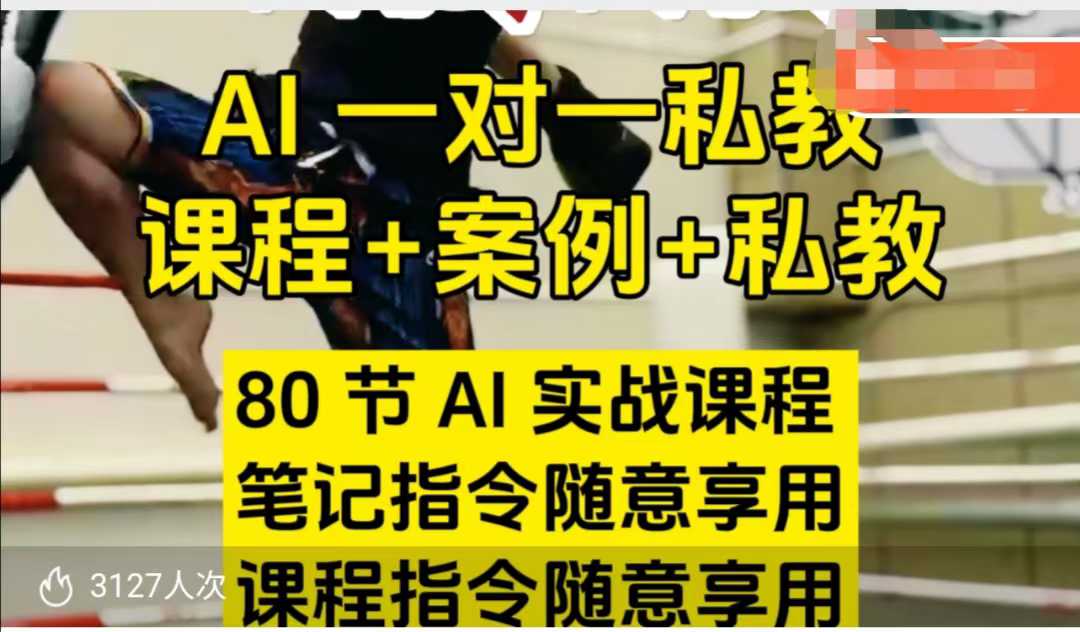 AI指令实战课，课程+案例，80节AI实战课程，笔记指令随意享用，课程指令随意享用(更新7月)-西瓜1886社区