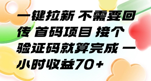 一键拉新 不需要回传 首码项目 接个验证码就算完成 一小时收益70+【揭秘】-西瓜1886社区