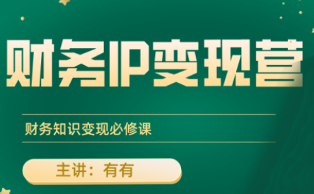 有有老师·财务IP变现营，财务知识变现必修课-西瓜1886社区